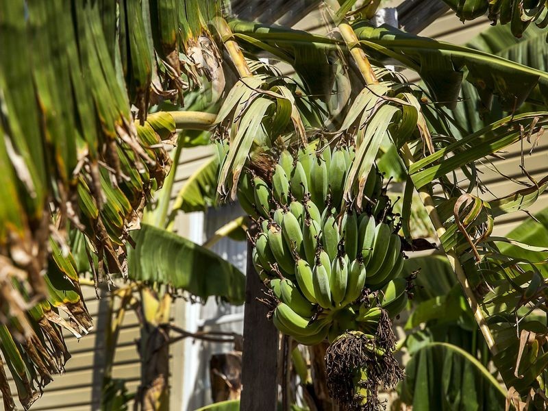 308 Torrens Road, Croydon Park SA 5008