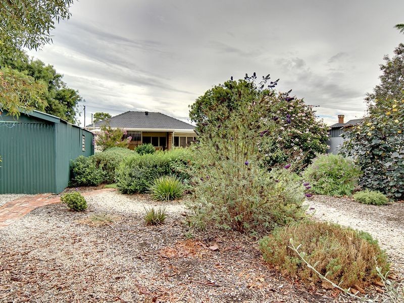 26 Percy Street, Cheltenham SA 5014