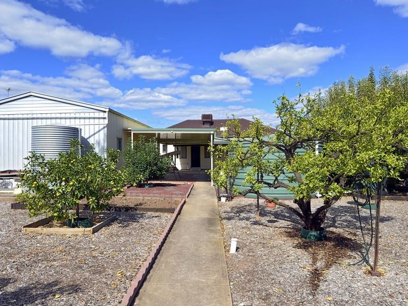 38 Martin Avenue, Fitzroy SA 5082
