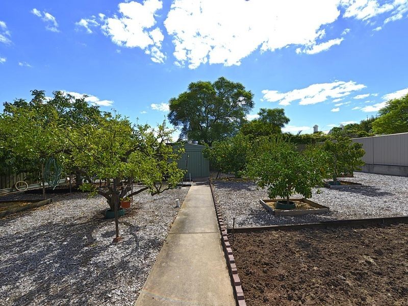 38 Martin Avenue, Fitzroy SA 5082
