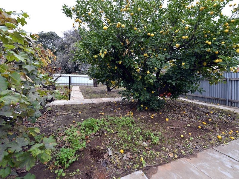 42 Dampier Avenue, Flinders Park SA 5025