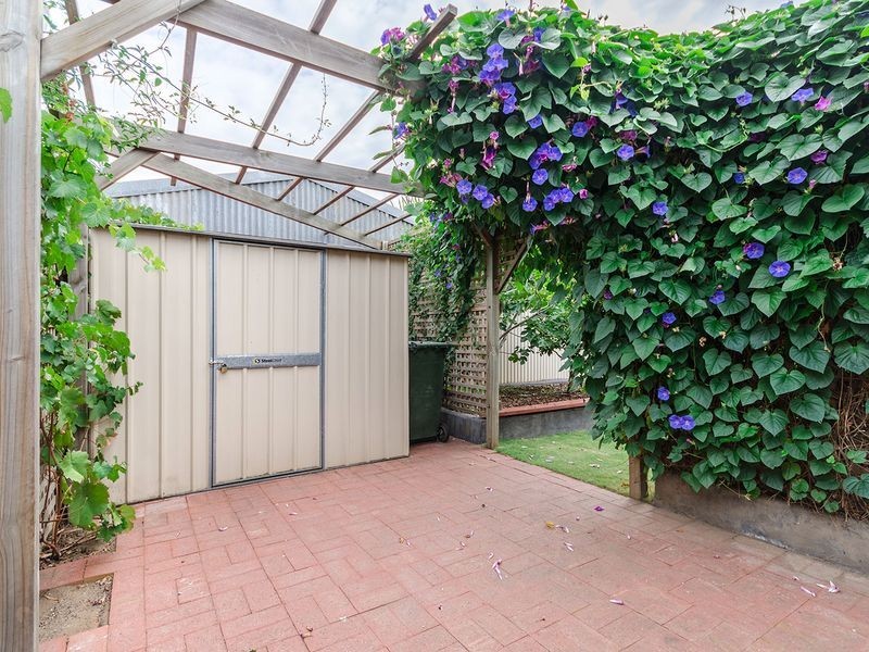 36 Wilpena Terrace, Kilkenny SA 5009