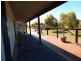 Lot 59, Coulta SA 5607