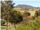 Lot 59, Coulta SA 5607