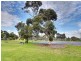 82 Prince Street, Alberton SA 5014