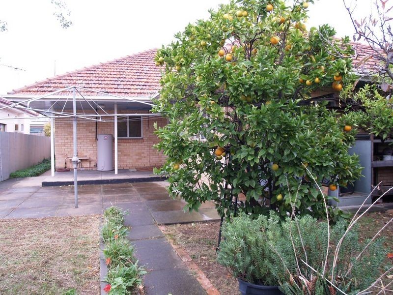 71 Selth Street, Albert Park SA 5014