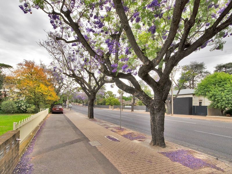 5/13 Northcote Terrace, Medindie SA 5081