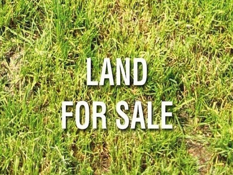 145 Chandlers Hill Road, Happy Valley SA 5159