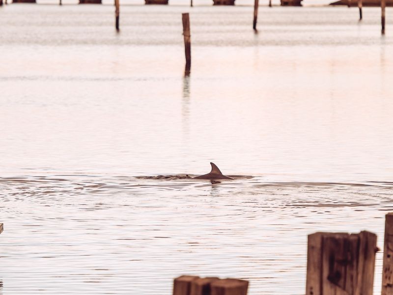 2 Yeltu Court, New Port SA 5015