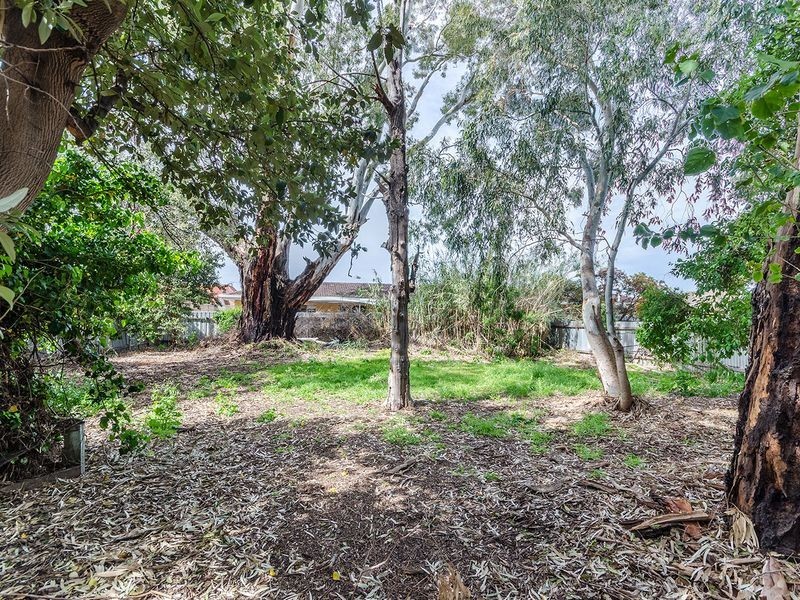 24 Howard Street, Underdale SA 5032