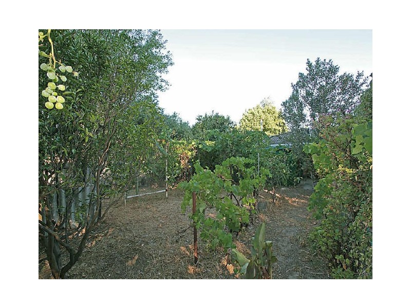 3 Angelo Street, Armadale WA 6112