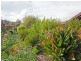 4/40 Lensham Place, Armadale WA 6112
