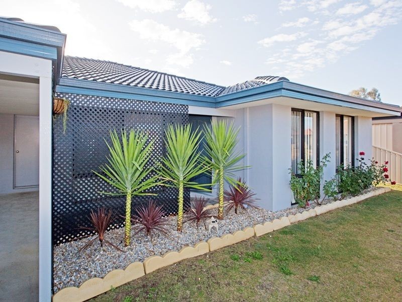 19 Jonquil Loop, Seville Grove WA 6112