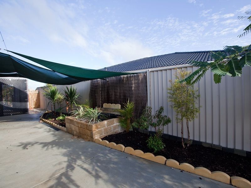 19 Jonquil Loop, Seville Grove WA 6112