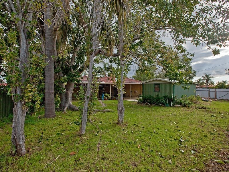 1 Kyogle Place, Armadale WA 6112