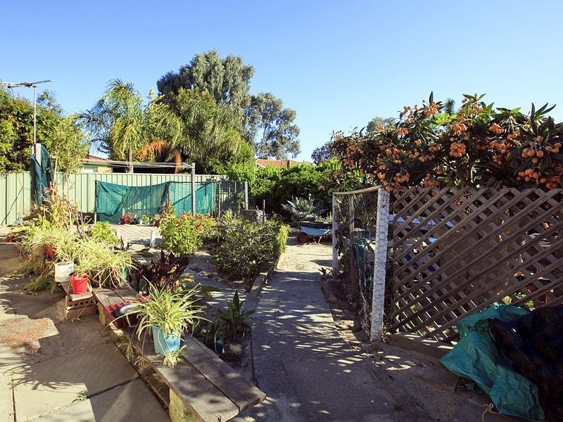 20 Moondyne Court, Seville Grove WA 6112