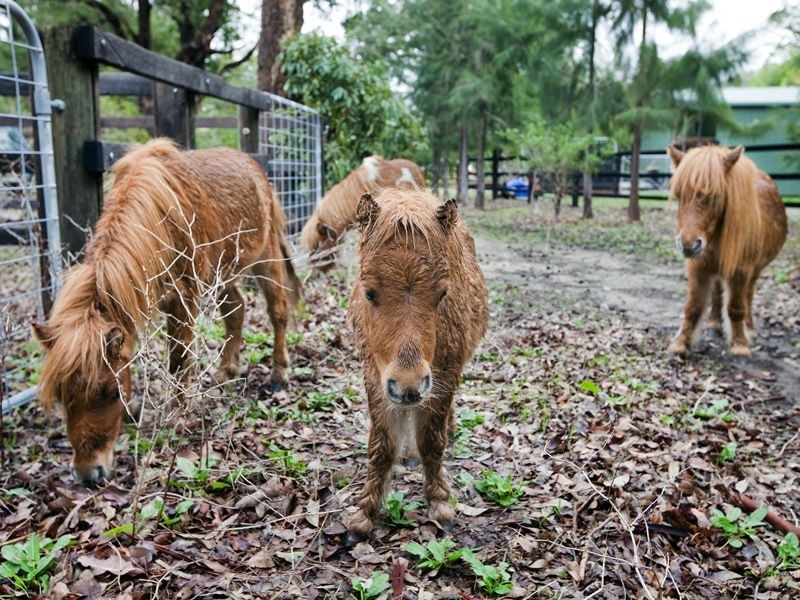 26 Kentucky Drive, Darling Downs WA 6122