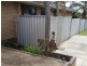 59 Spring Road, Thornlie WA 6108