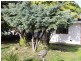 57 Norbury Way, Langford WA 6147