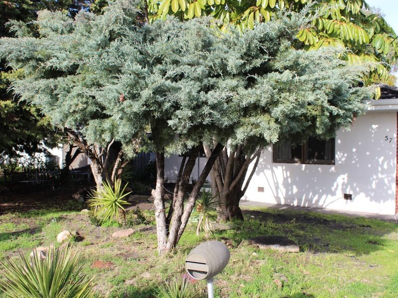 57 Norbury Way, Langford WA 6147