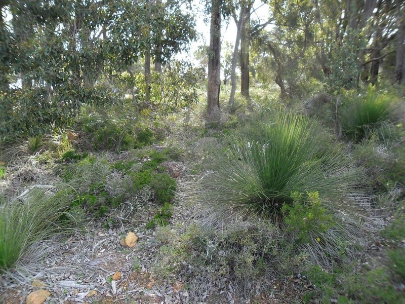 61 Waterwheel Road North, Bedfordale WA 6112