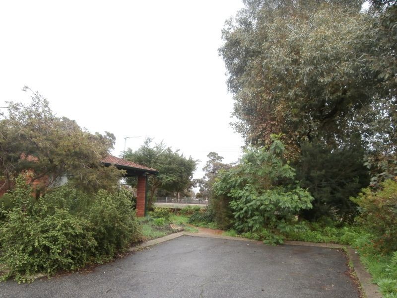 1/3 Netley Place, Armadale WA 6112