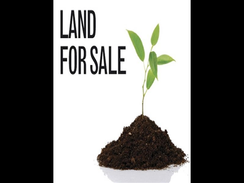 9 Weld Street, Forrestdale WA 6112