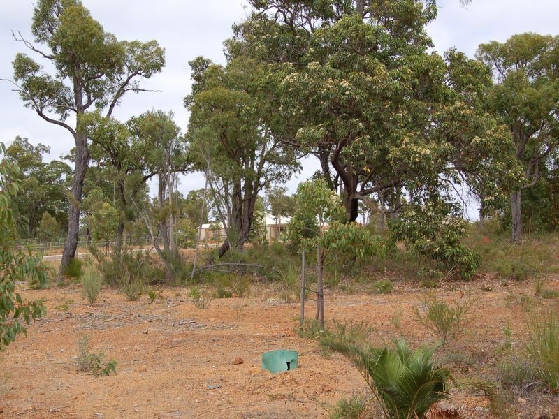 1 Observation Circle, Bedfordale WA 6112