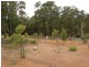 1 Observation Circle, Bedfordale WA 6112