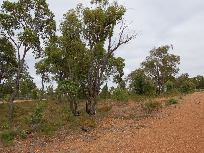 1 Observation Circle, Bedfordale WA 6112