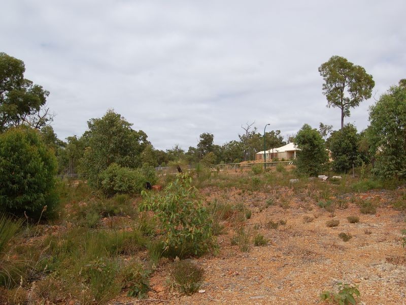 1 Observation Circle, Bedfordale WA 6112