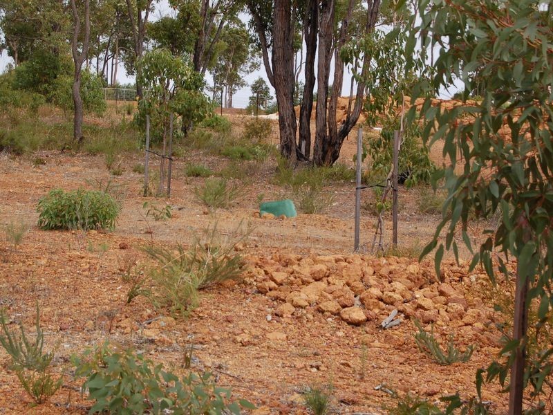 1 Observation Circle, Bedfordale WA 6112