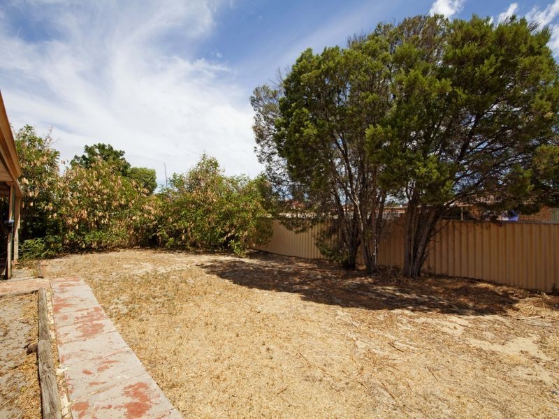 19 Mandarin Way, Seville Grove WA 6112