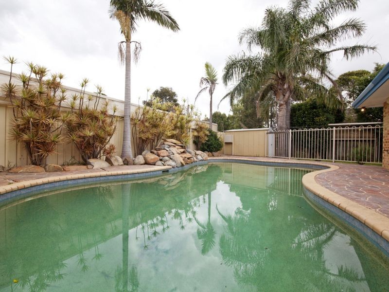 36 Petrel Close, Seville Grove WA 6112