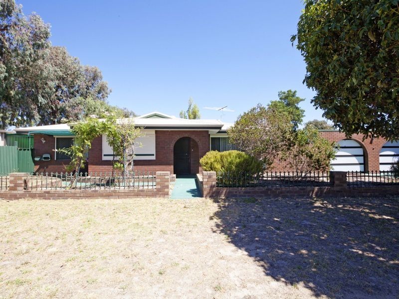 19 Phylma Street, Armadale WA 6112
