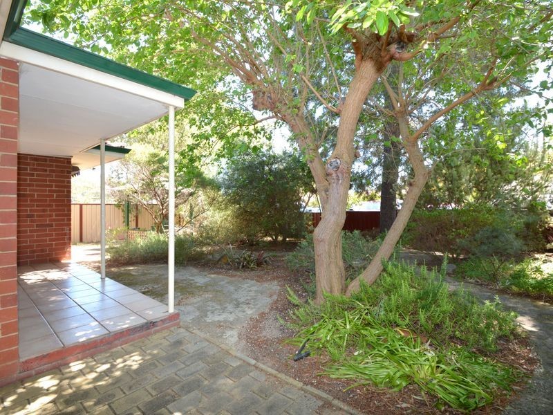 20 Mornington Street, Armadale WA 6112