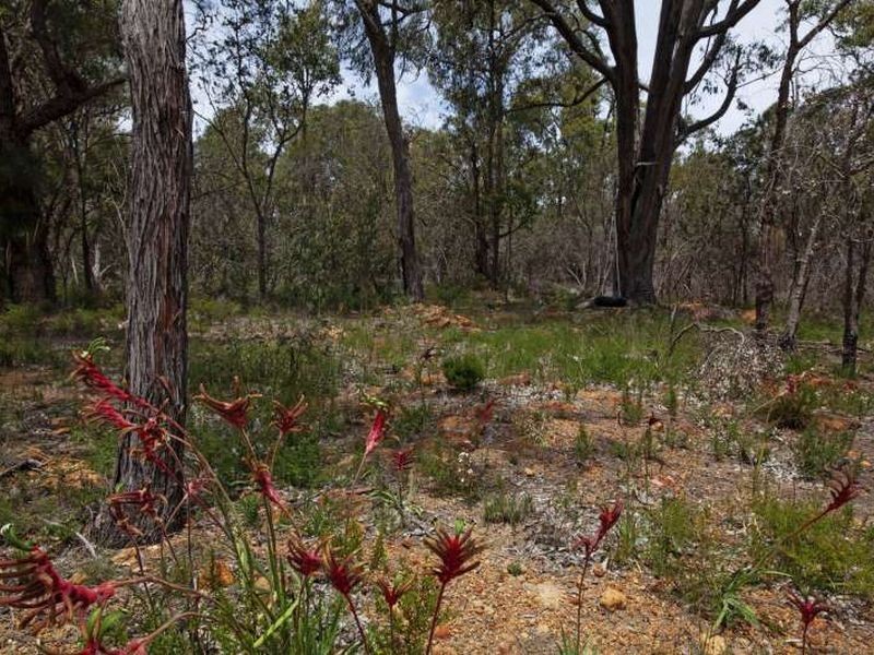 94 Old Coach Road W, Gidgegannup WA 6083