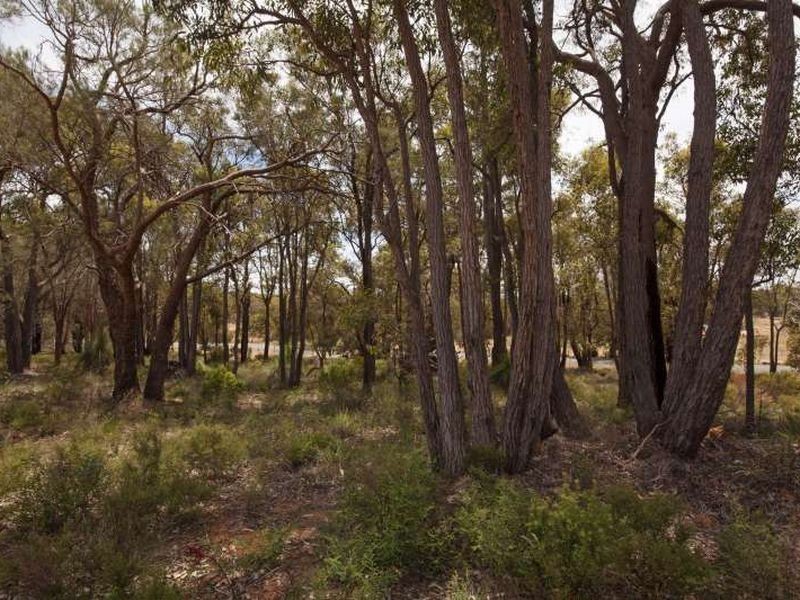 94 Old Coach Road W, Gidgegannup WA 6083