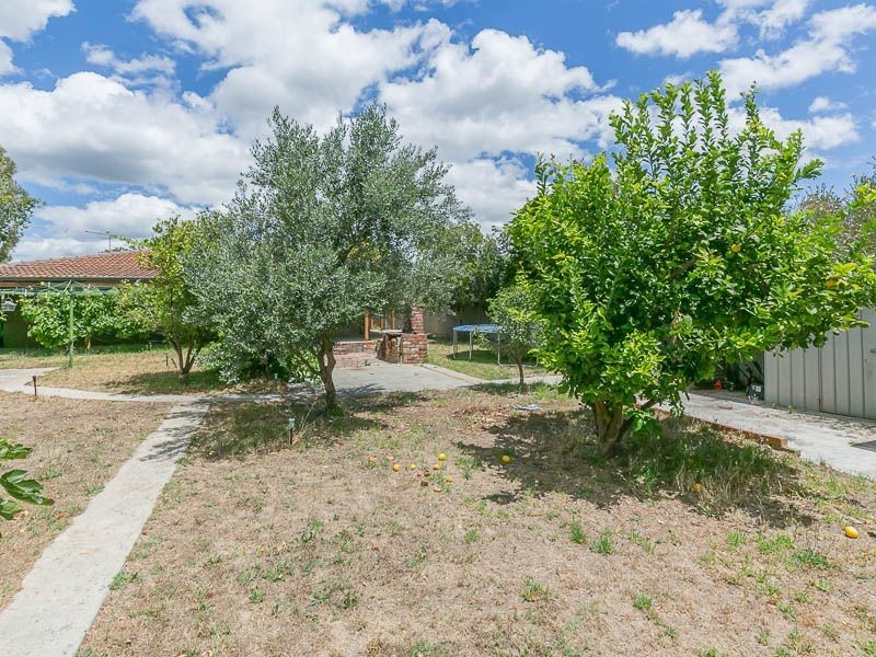 15 Masuli Way, Armadale WA 6112