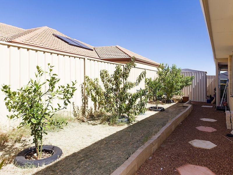3 Rayner Place, Seville Grove WA 6112
