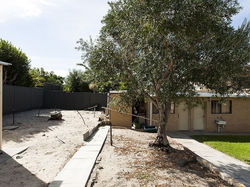 19 Frithville Road, Balcatta WA 6021