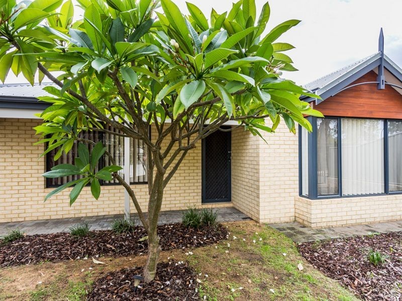 10 Charvil Mews, Wellard WA 6170