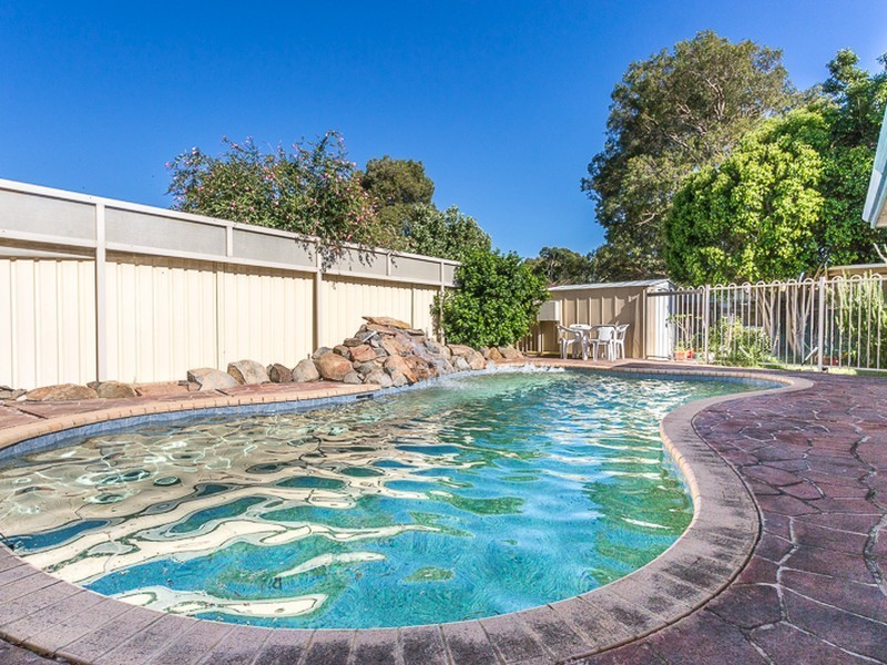 36 Petrel Close, Seville Grove WA 6112