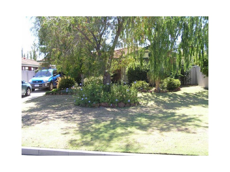 19 Jaffa Close, Seville Grove WA 6112
