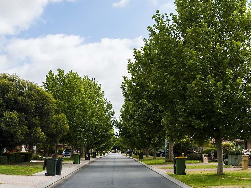 68 Folland Parade, Atwell WA 6164