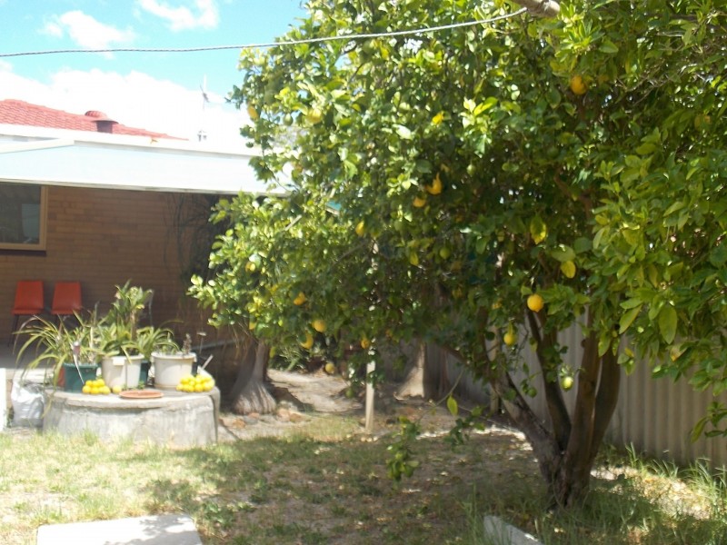 9 Merrifield Avenue, Kelmscott WA 6111