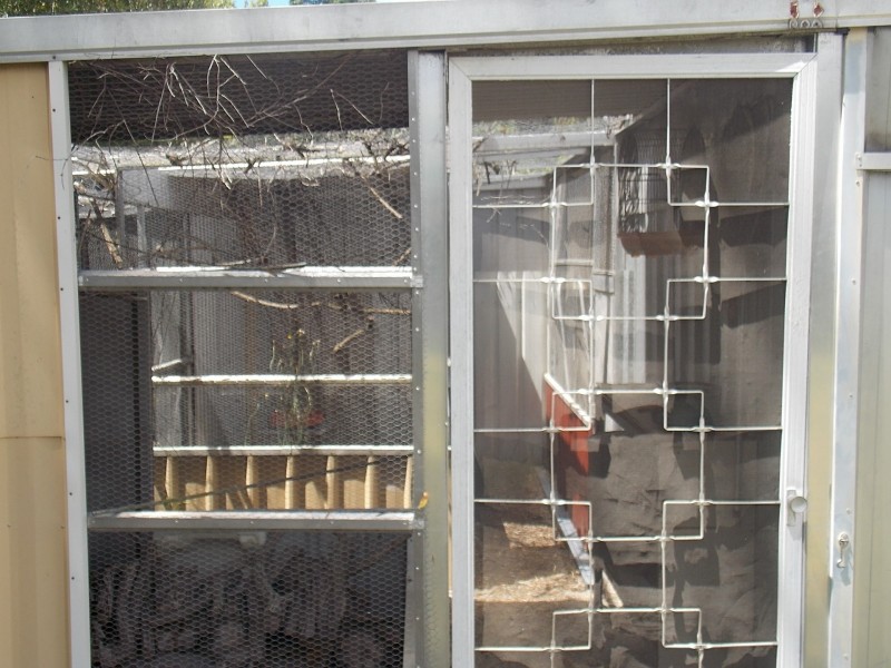 9 Merrifield Avenue, Kelmscott WA 6111