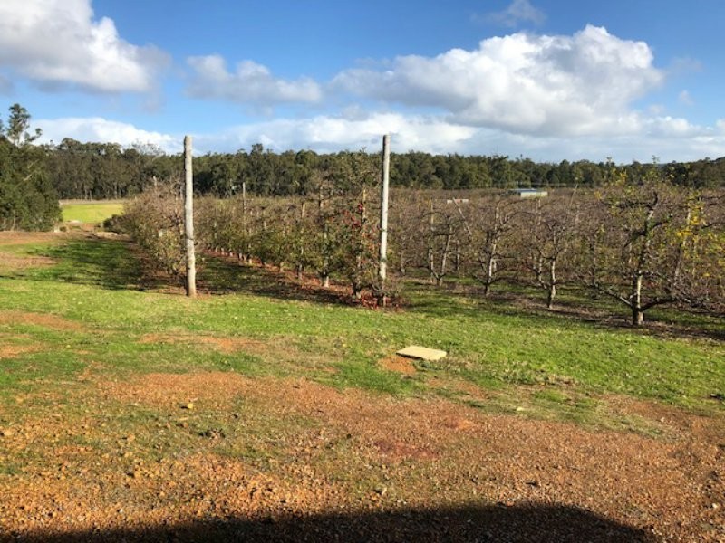 25 Farina Road, Jarrahdale WA 6124