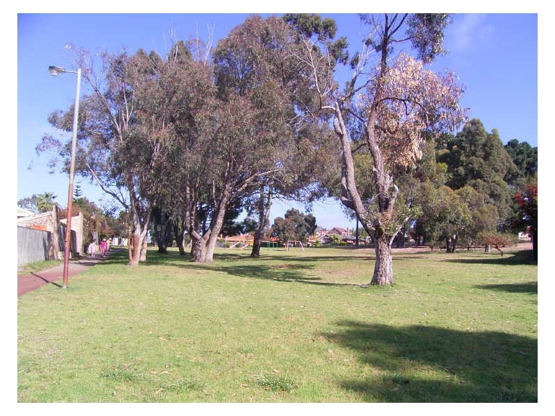 6/15 Moore Gardens, Kardinya WA 6163