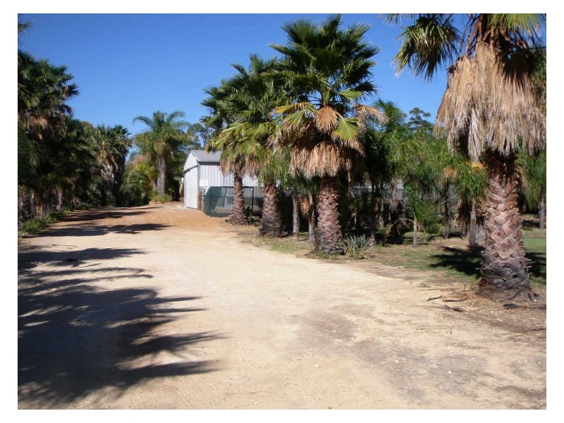 125 Hilbert Road, Hilbert WA 6112